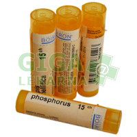 Obrázek Rhus Toxicodendron CH15 gra.4g