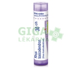 Rhus Toxicodendron CH30 gra.4g