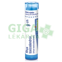 Rhus Toxicodendron CH9 gra.4g