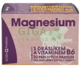 Obrázek Rosen Magnesium 300mg perlivé pastilky 20ks
