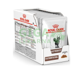Royal Canin VD Cat kaps. Gastro Intest. 12 x 85g