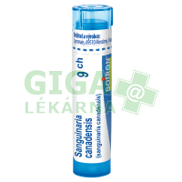 Krvavec kanadský 9CH gra.4g