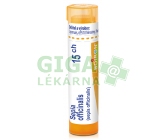 Sepia Officinalis CH15 gra.4g