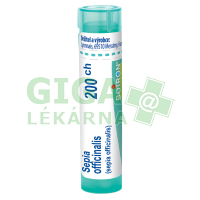 Sepia Officinalis CH200 gra.4g