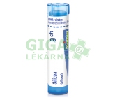 Silicea CH9 gra.4g