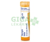 Spongia Tosta CH15 gra.4g