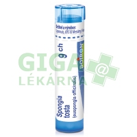 Spongia Tosta CH9 gra.4g