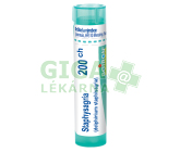 Staphysagria 200CH gra.4g