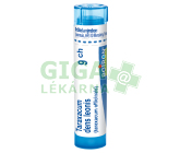 Taraxacum Dens Leonis 9CH gra.4g