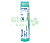 Tarentula Hispana 200CH gra.4g