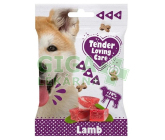 Tender Loving Care pamlsek jehně 100g