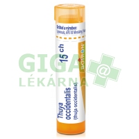 Thuya Occidentalis CH15 gra.4g