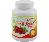 URO - Brusinky tbl.60