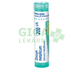 Zincum Metallicum 200CH gra.4g