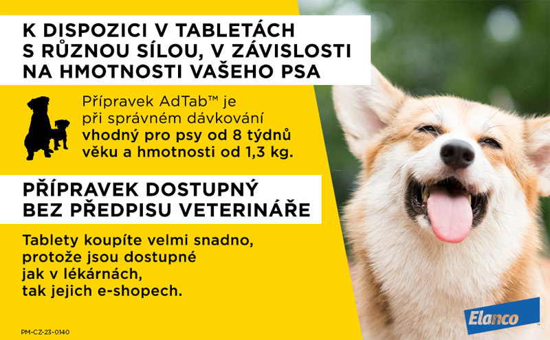 Tablety na blchy a kliešte bez receptu