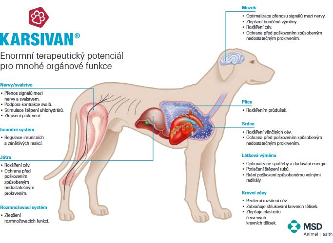Terapeutický potenciál